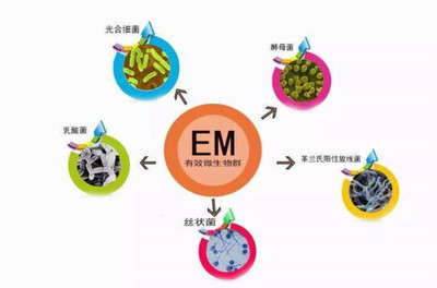 有机肥技术推广的有效策略与实践路径